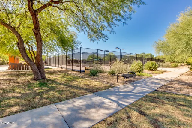 a view of a yard with a tree
