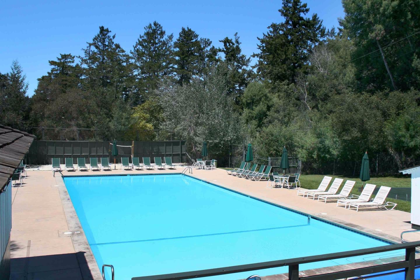 21 Oak Road Santa Cruz, CA 95060 - Photo 21 of 25 a view of a swimming pool with a patio
