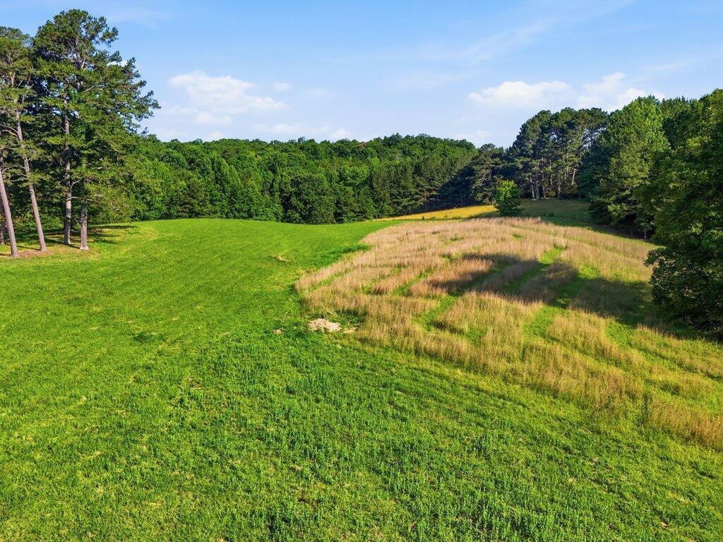 350 Piney Point Road Spring City, TN 37381 - Photo 64 of 82