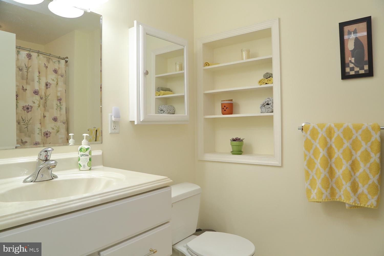 235 St Thomas Road Lancaster, PA 17601 - Photo 31 of 32 a bathroom with a sink a toilet and shower curtain