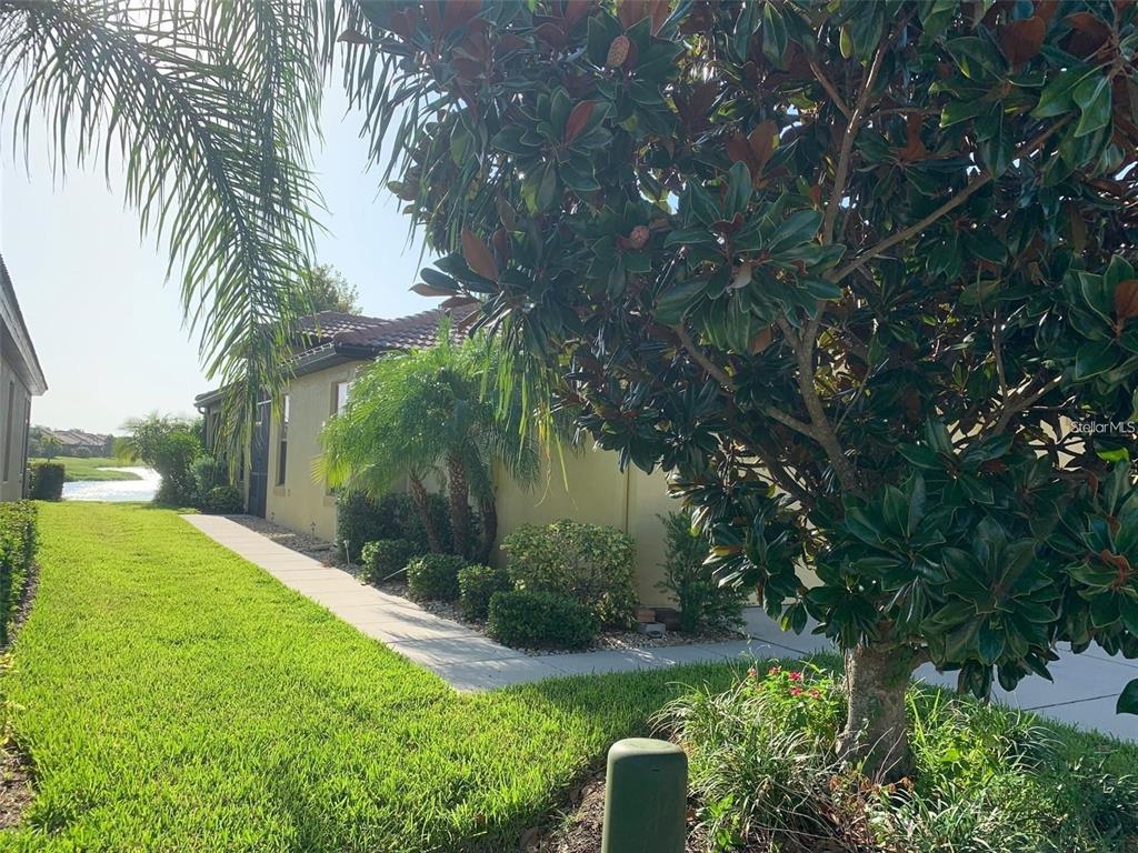 5409 Sunset Falls Drive Apollo Beach, FL 33572 - Photo 2 of 46 a view of yard with green space