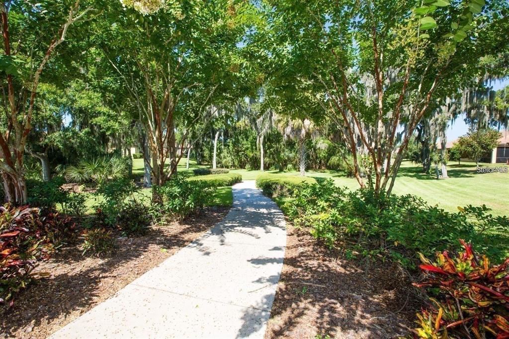 5409 Sunset Falls Drive Apollo Beach, FL 33572 - Photo 28 of 46 a view of a park with large trees
