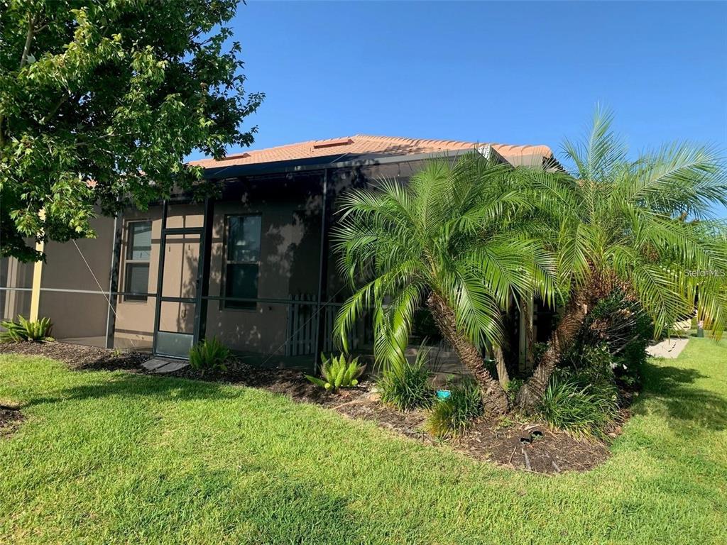 5409 Sunset Falls Drive Apollo Beach, FL 33572 - Photo 3 of 46 a view of a backyard with plants