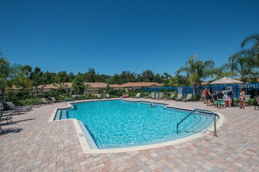 5409 Sunset Falls Drive Apollo Beach, FL 33572 - Photo 31 of 46 a view of a swimming pool and lounge chair