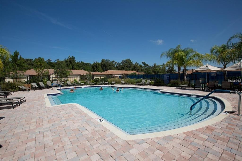 5409 Sunset Falls Drive Apollo Beach, FL 33572 - Photo 42 of 46 a view of a swimming pool with a table and chairs