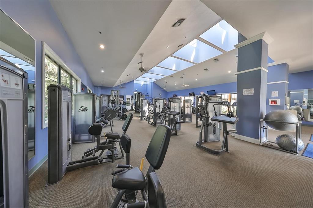 5409 Sunset Falls Drive Apollo Beach, FL 33572 - Photo 45 of 46 a view of a room with gym equipment