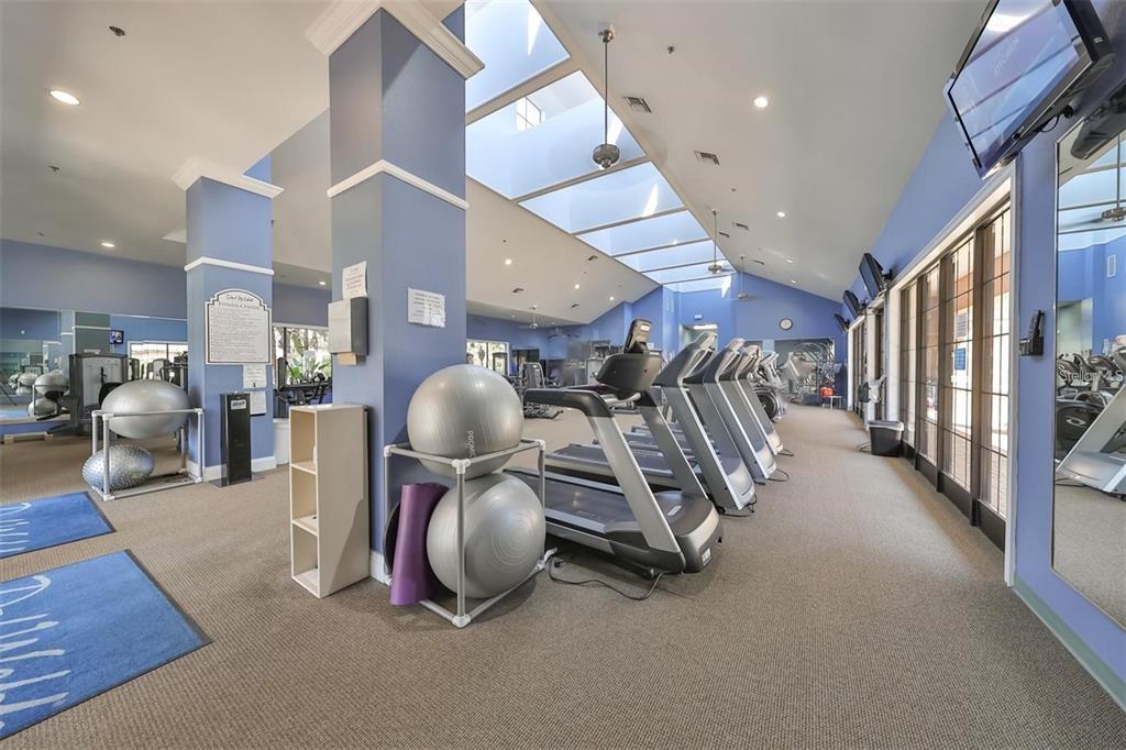 5409 Sunset Falls Drive Apollo Beach, FL 33572 - Photo 46 of 46 a view of gym