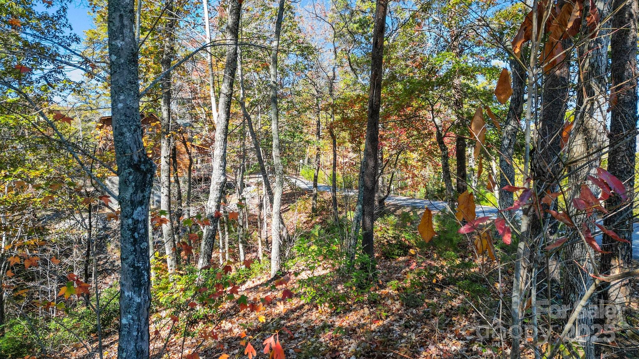 0 Lure Ridge Dr Lake, Unit 22 Lake Lure, NC 28746 - Photo 11 of 24