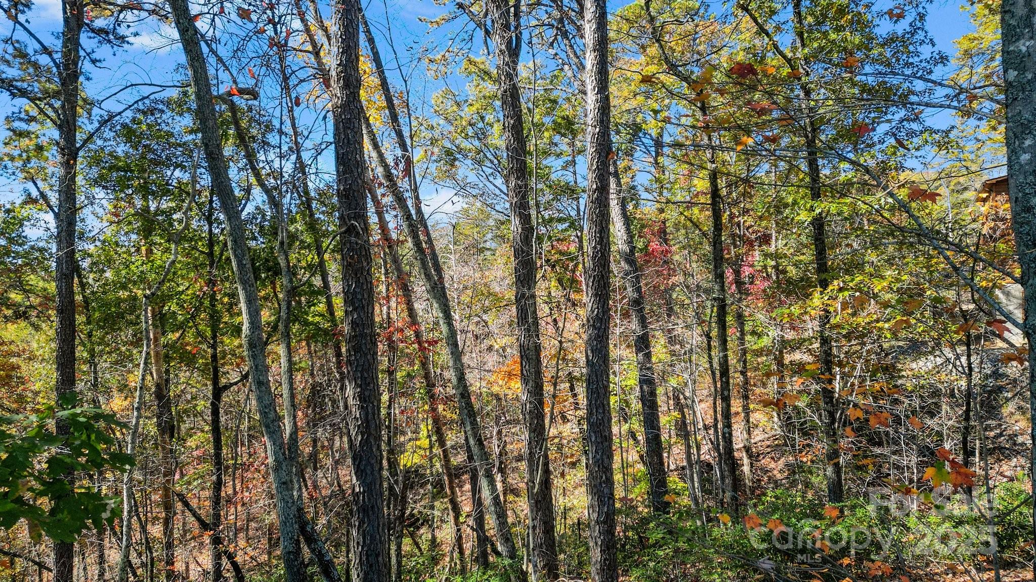 0 Lure Ridge Dr Lake, Unit 22 Lake Lure, NC 28746 - Photo 12 of 24