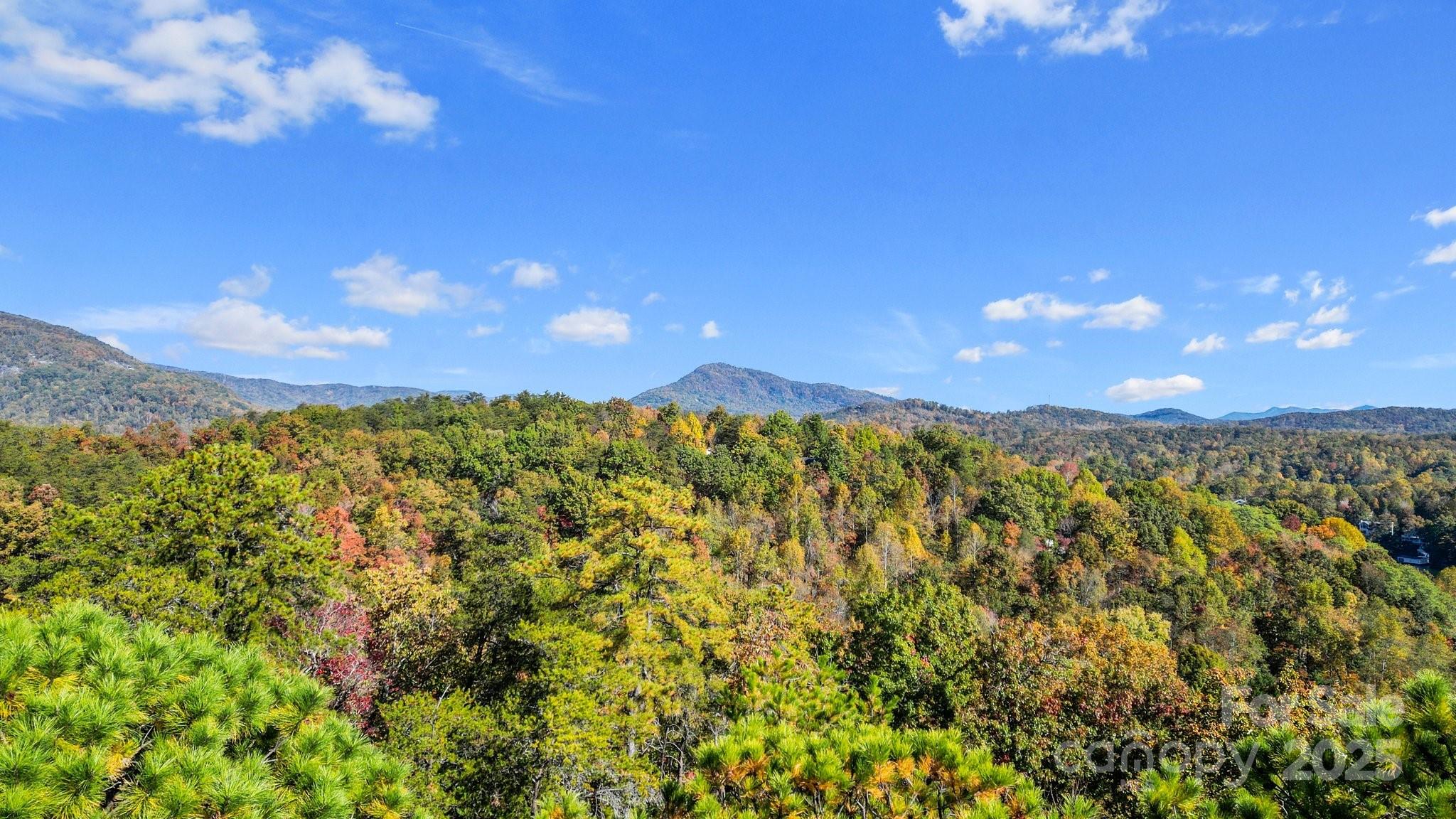 0 Lure Ridge Dr Lake, Unit 22 Lake Lure, NC 28746 - Photo 13 of 24