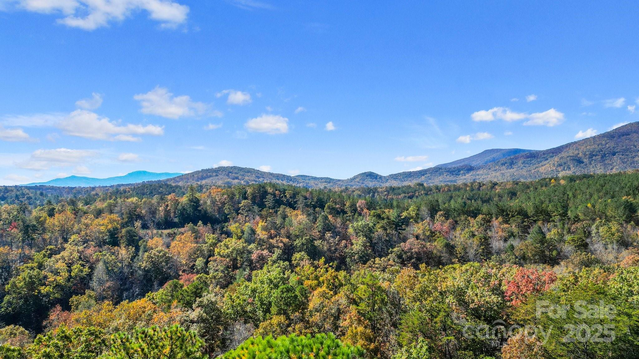0 Lure Ridge Dr Lake, Unit 22 Lake Lure, NC 28746 - Photo 15 of 24