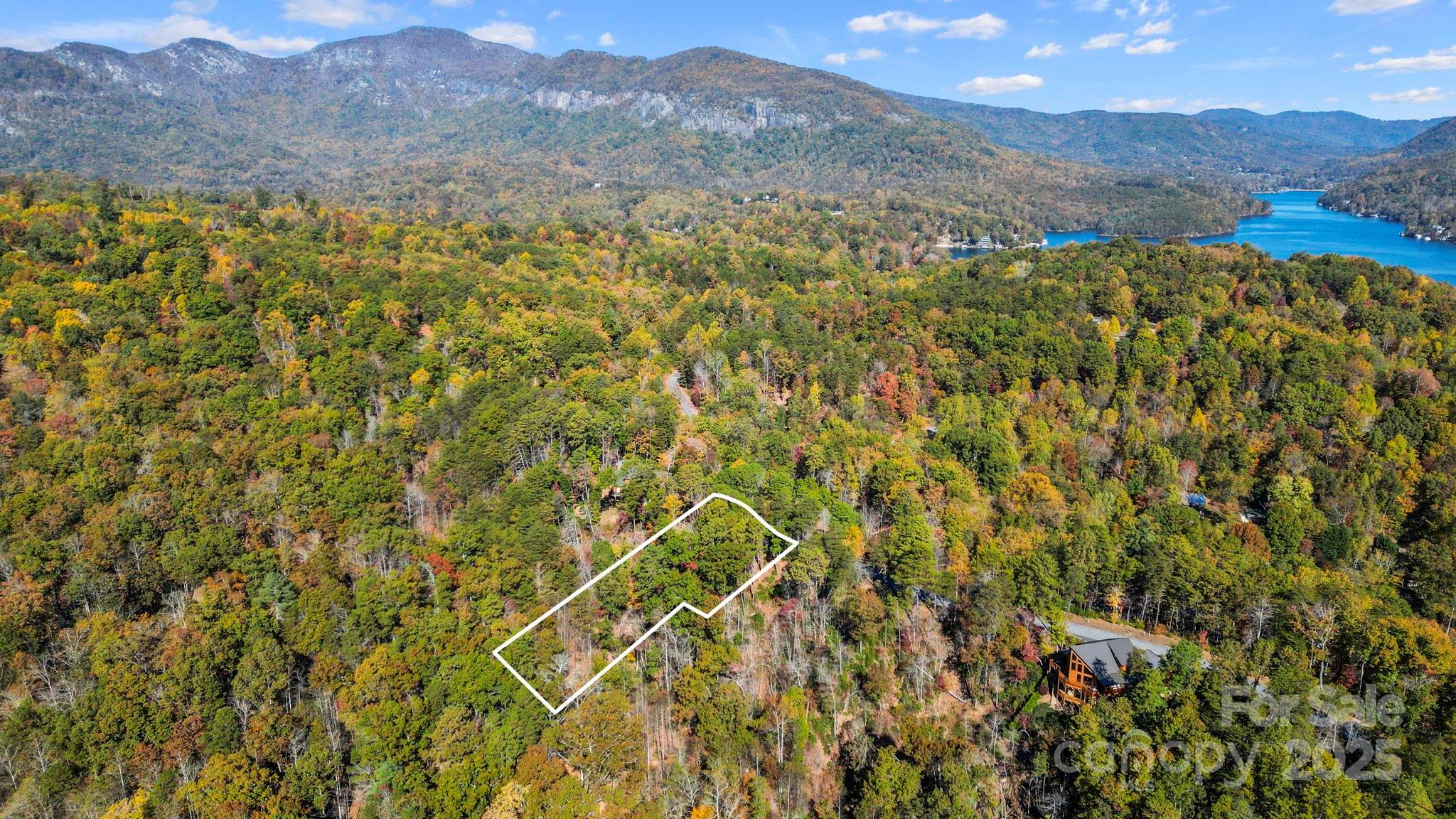 0 Lure Ridge Dr Lake, Unit 22 Lake Lure, NC 28746 - Photo 3 of 24