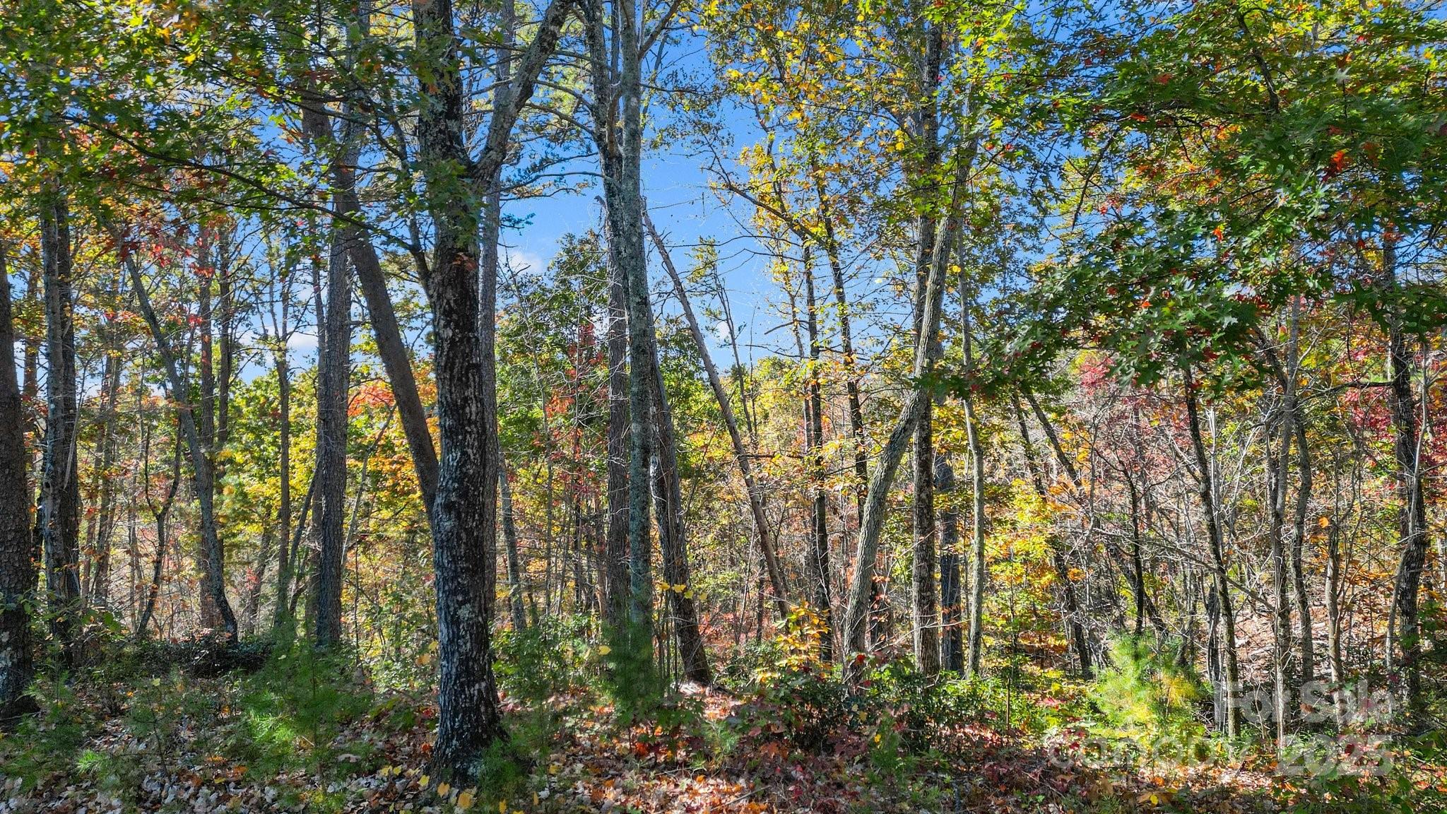 0 Lure Ridge Dr Lake, Unit 22 Lake Lure, NC 28746 - Photo 5 of 24