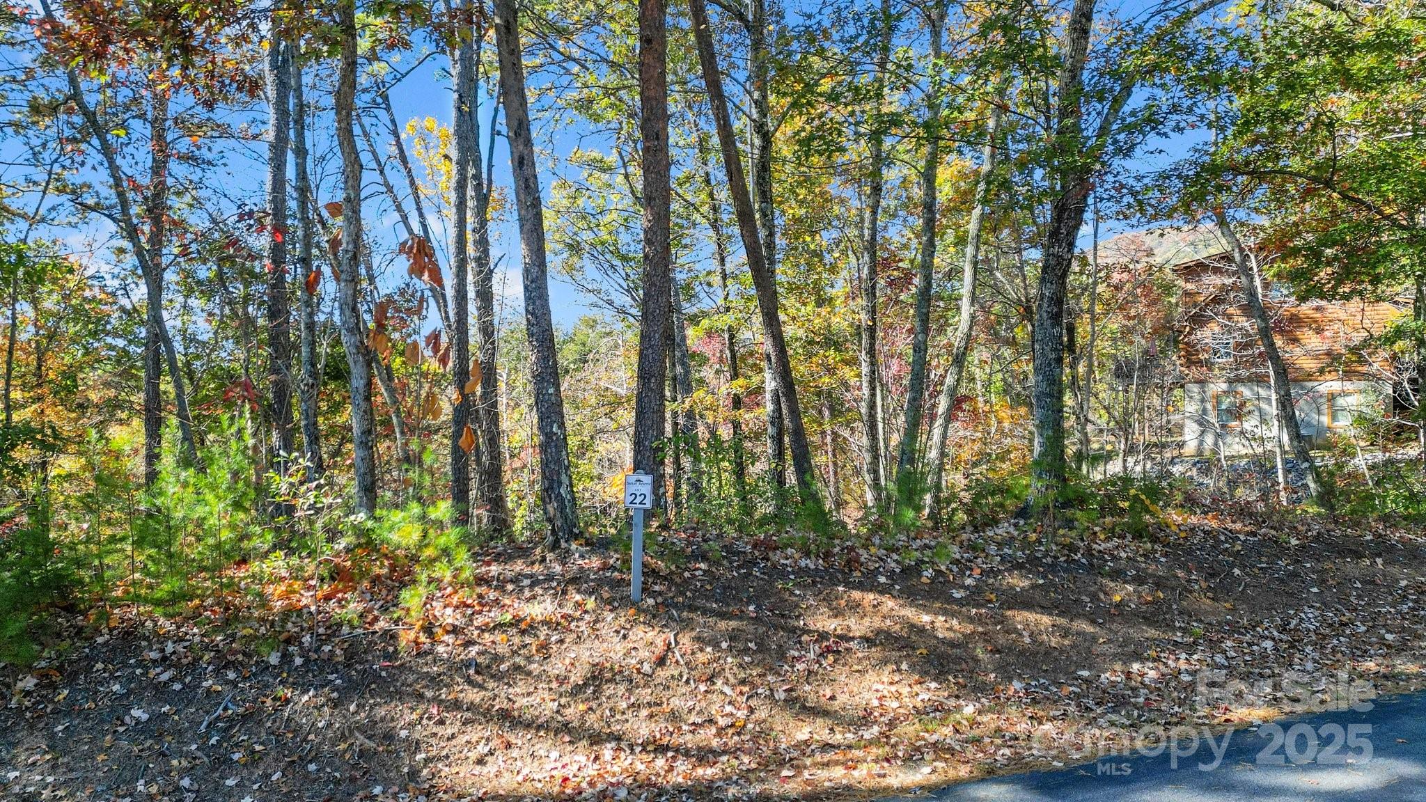 0 Lure Ridge Dr Lake, Unit 22 Lake Lure, NC 28746 - Photo 6 of 24