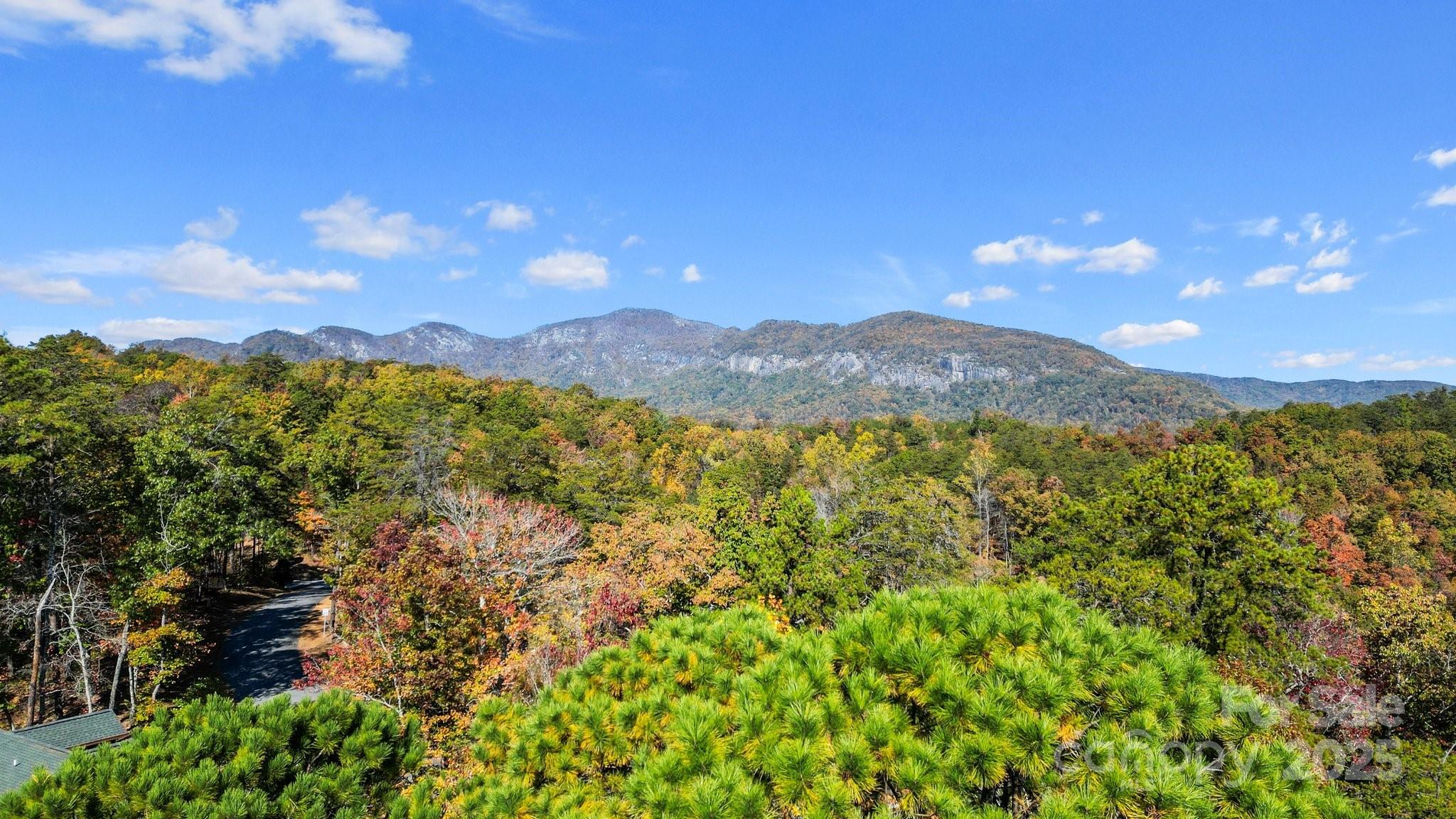 0 Lure Ridge Dr Lake, Unit 22 Lake Lure, NC 28746 - Photo 7 of 24