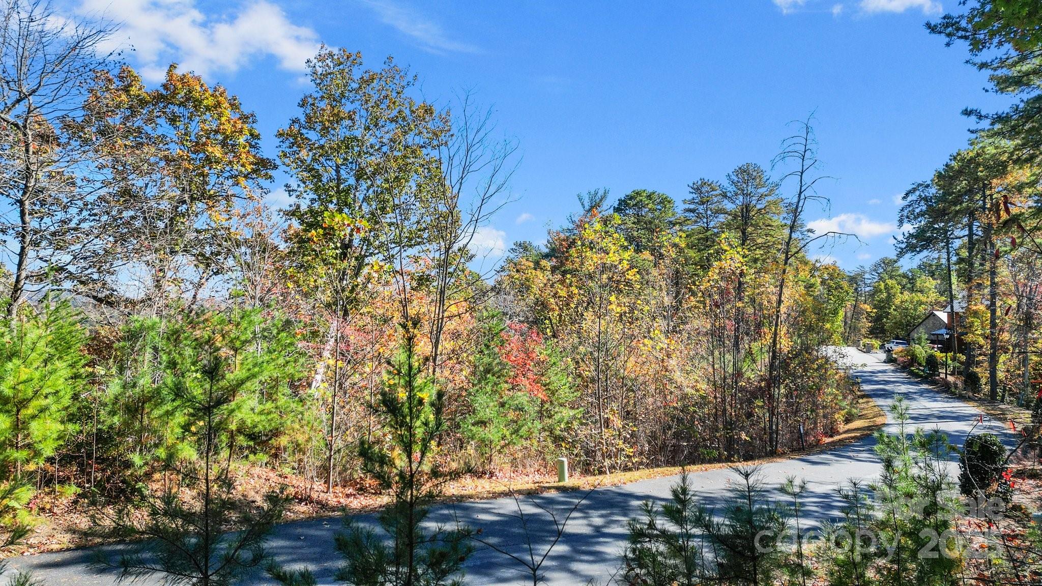 0 Lure Ridge Dr Lake, Unit 22 Lake Lure, NC 28746 - Photo 8 of 24