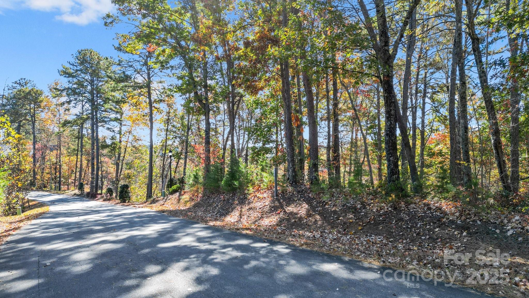0 Lure Ridge Dr Lake, Unit 22 Lake Lure, NC 28746 - Photo 9 of 24
