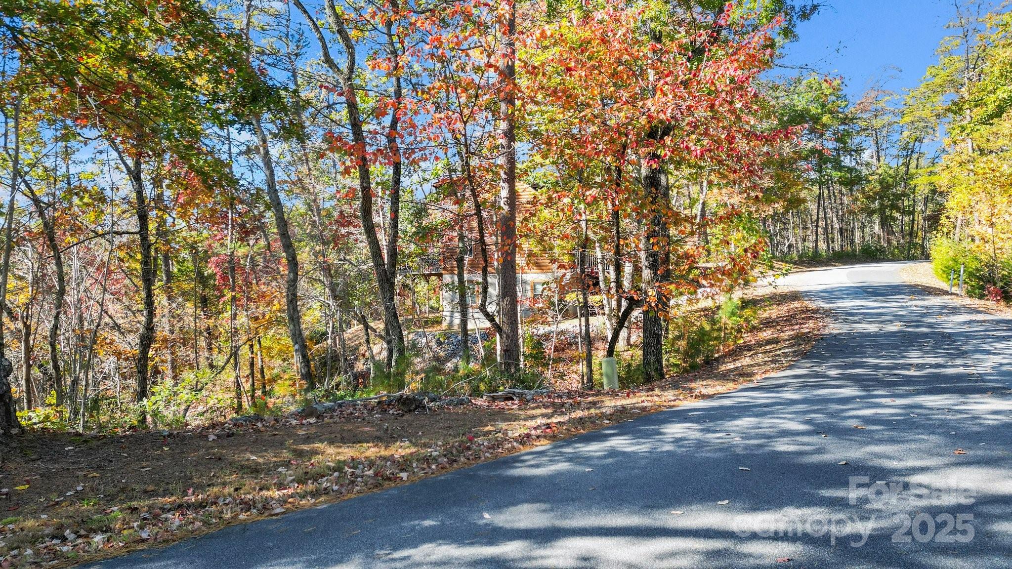 0 Lure Ridge Dr Lake, Unit 22 Lake Lure, NC 28746 - Photo 10 of 24
