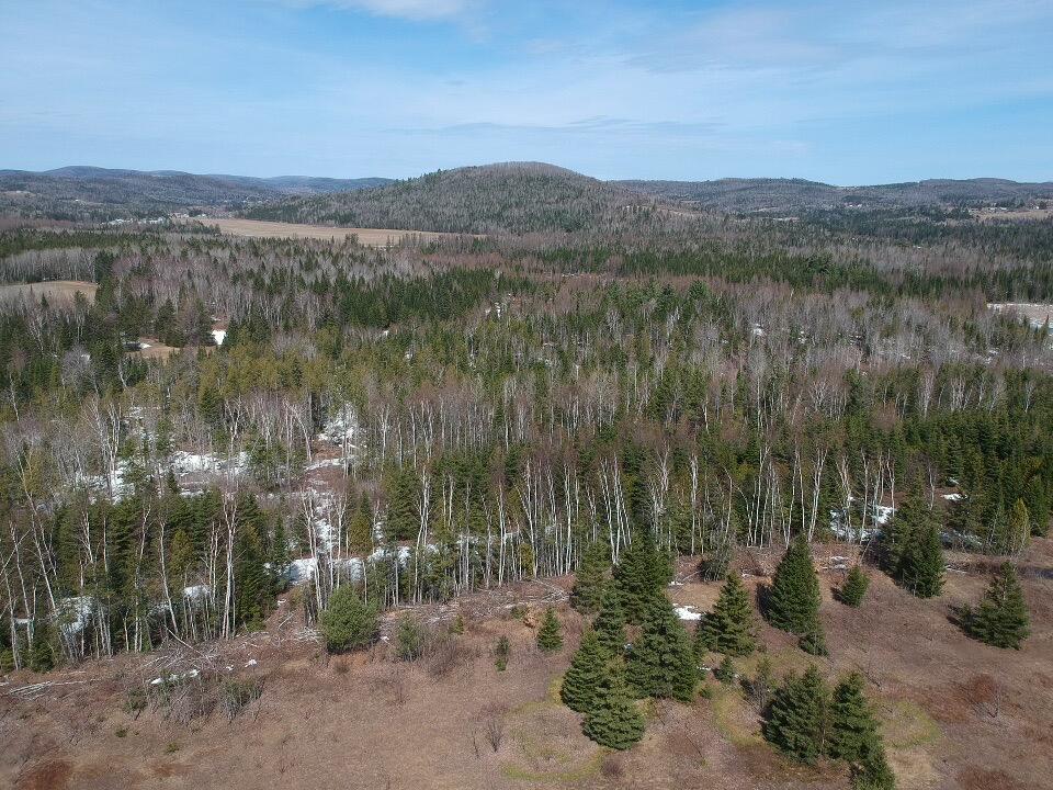 Lot 54 Caribou Road Fort Kent, ME 04743 - Photo 4 of 10 IMG_3457