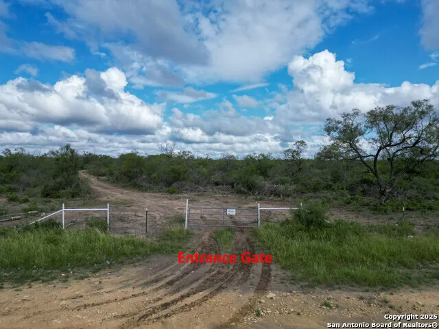 a view of park with tree s