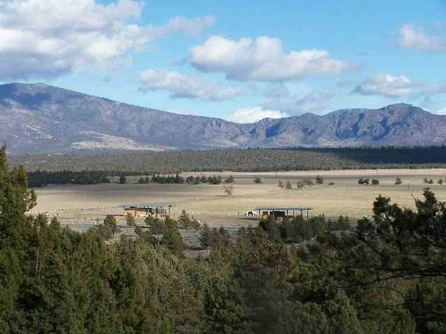 Lot 76 Lot Road Weed, CA 96094 - Photo 1 of 1 Gallery Image 1