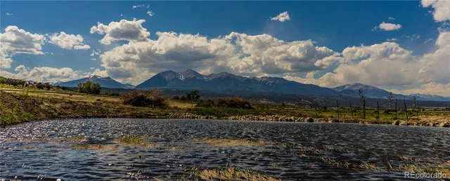 a view of a lake in middle of the forest