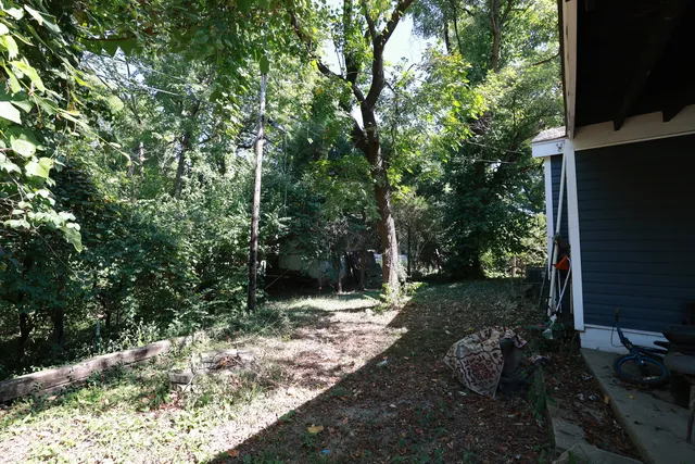 a view of a backyard with large trees