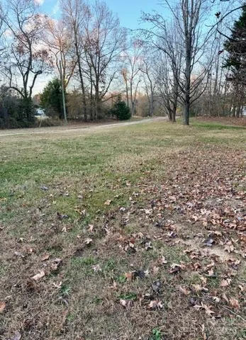 a view of a field with trees