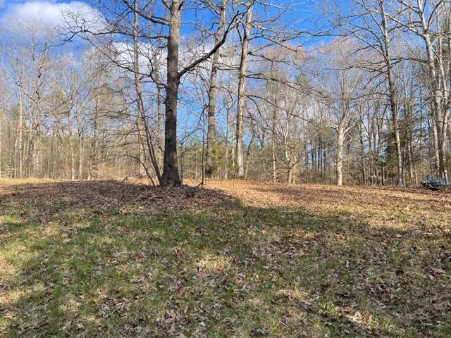 620 Harris Road Bolivar, TN 38008 - Photo 17 of 24 a backyard of a house with lots of green space