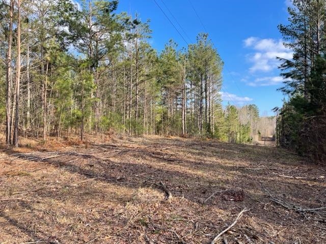 620 Harris Road Bolivar, TN 38008 - Photo 18 of 24 a view of a yard with trees
