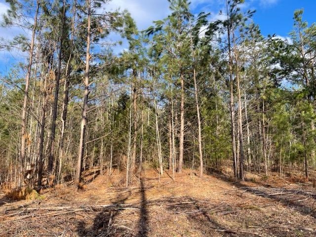 620 Harris Road Bolivar, TN 38008 - Photo 19 of 24 a view of a forest with trees