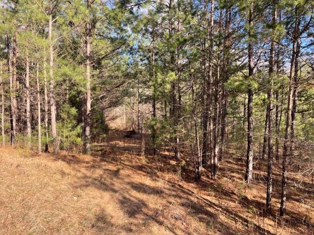 620 Harris Road Bolivar, TN 38008 - Photo 20 of 24 a backyard of a house with lots of green space