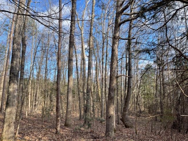 620 Harris Road Bolivar, TN 38008 - Photo 22 of 24 a view of a yard with large trees