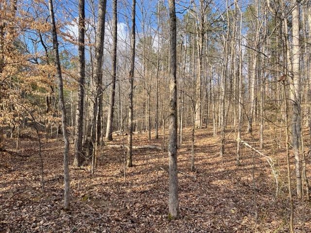 620 Harris Road Bolivar, TN 38008 - Photo 23 of 24 a view of outdoor space with lots of tall trees