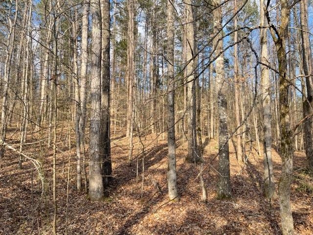 620 Harris Road Bolivar, TN 38008 - Photo 24 of 24 a view of a yard with plants and trees