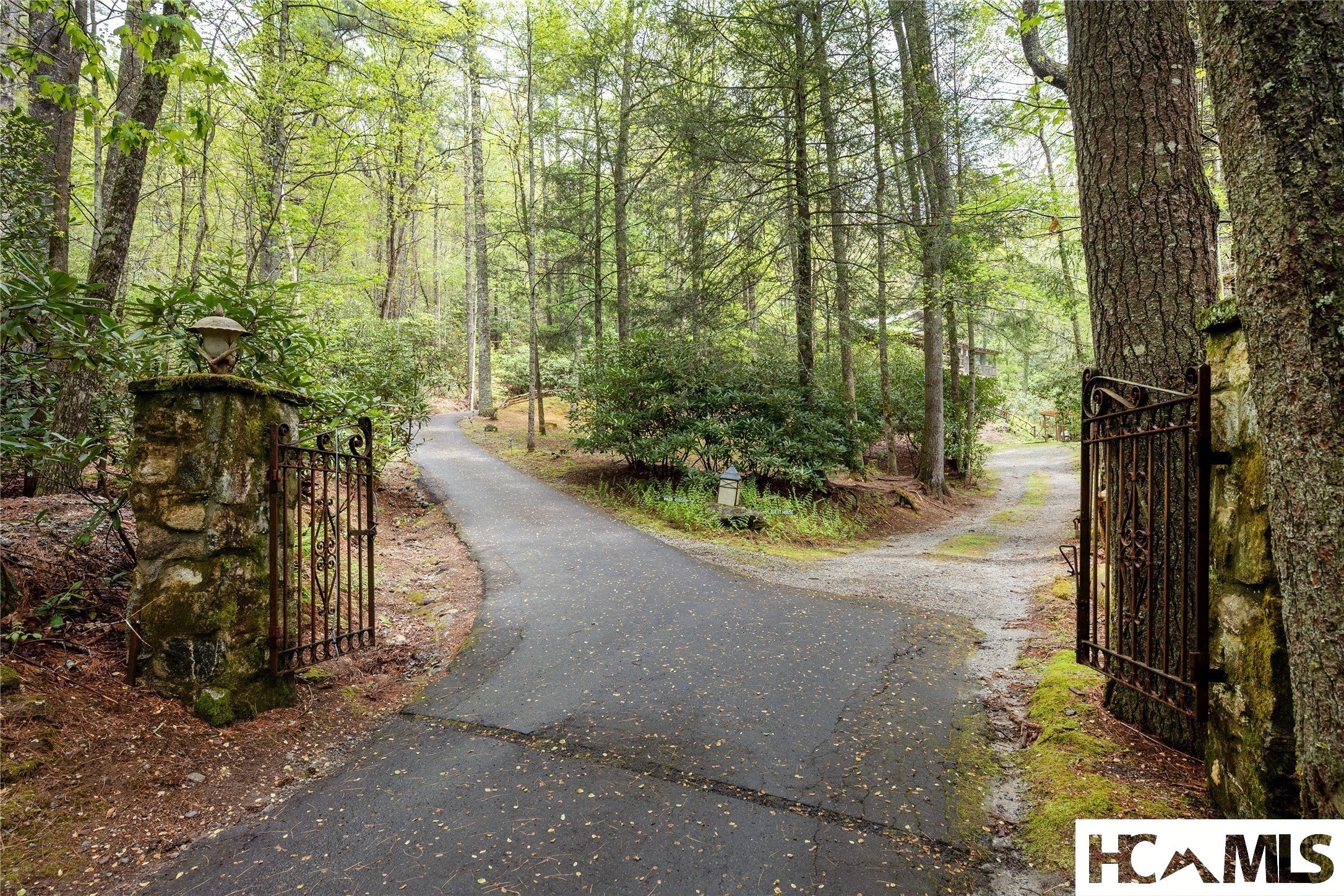 159 Webb Branch Road Highlands, NC 28741 - Photo 8 of 98 Gallery Image 8