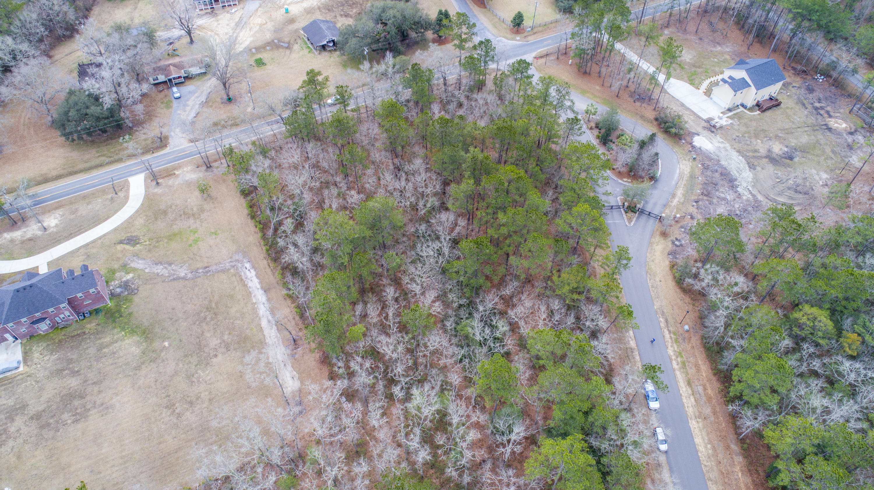 0 Old Jacksonboro Road Ravenel, SC 29470 - Photo 11 of 56 PepperGrassTrail_Edited_008
