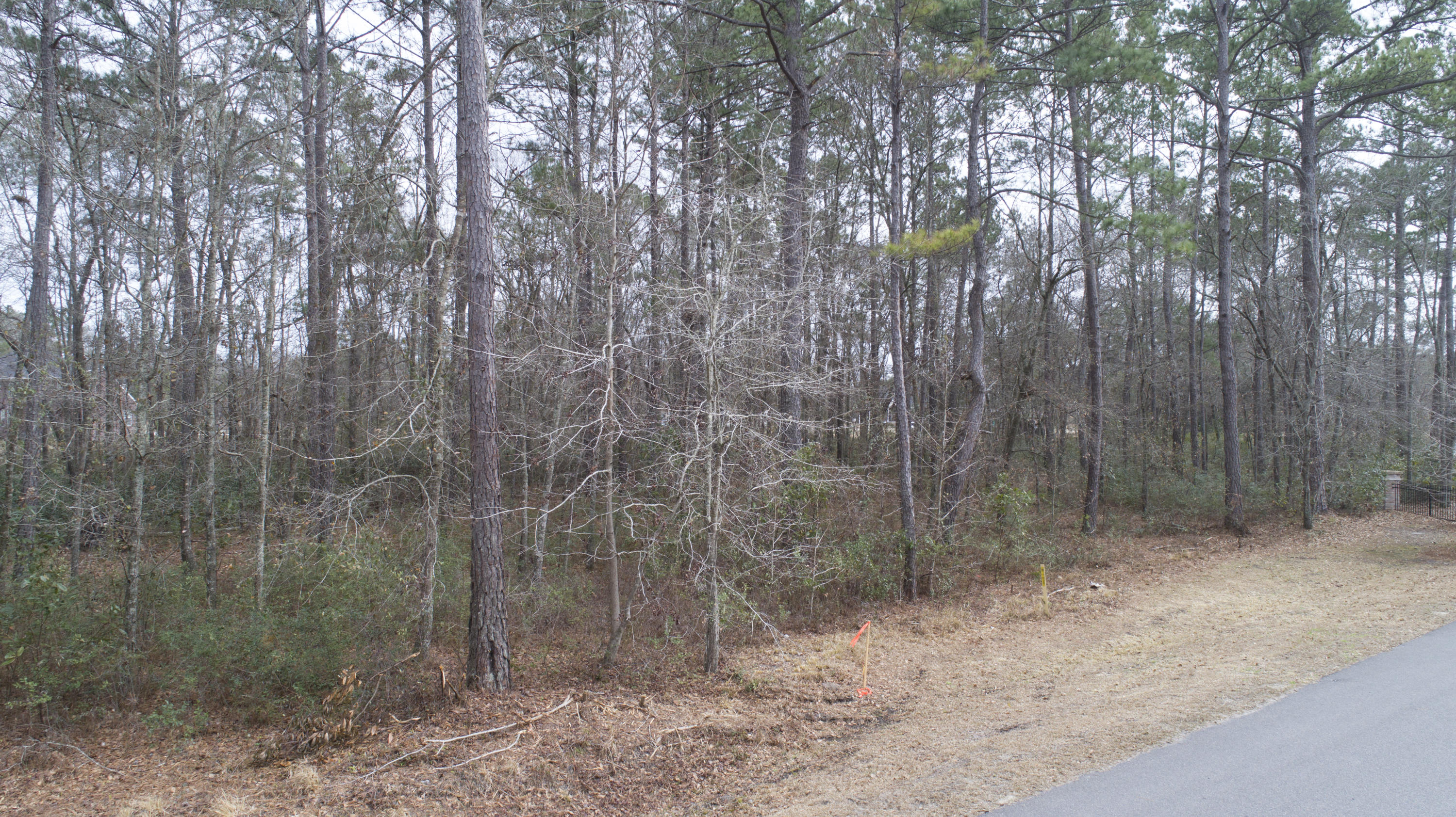 0 Old Jacksonboro Road Ravenel, SC 29470 - Photo 15 of 56 PepperGrassTrail_NoEdit_002