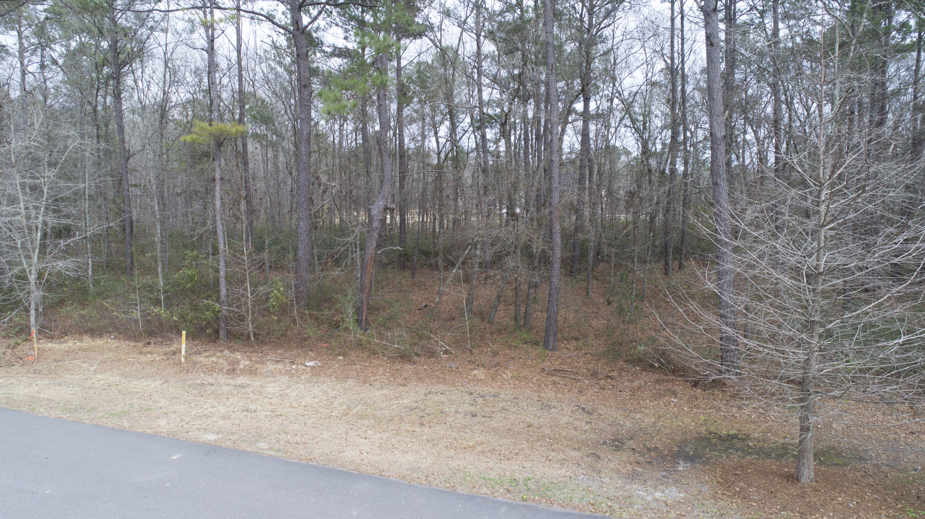 0 Old Jacksonboro Road Ravenel, SC 29470 - Photo 17 of 56 PepperGrassTrail_NoEdit_004