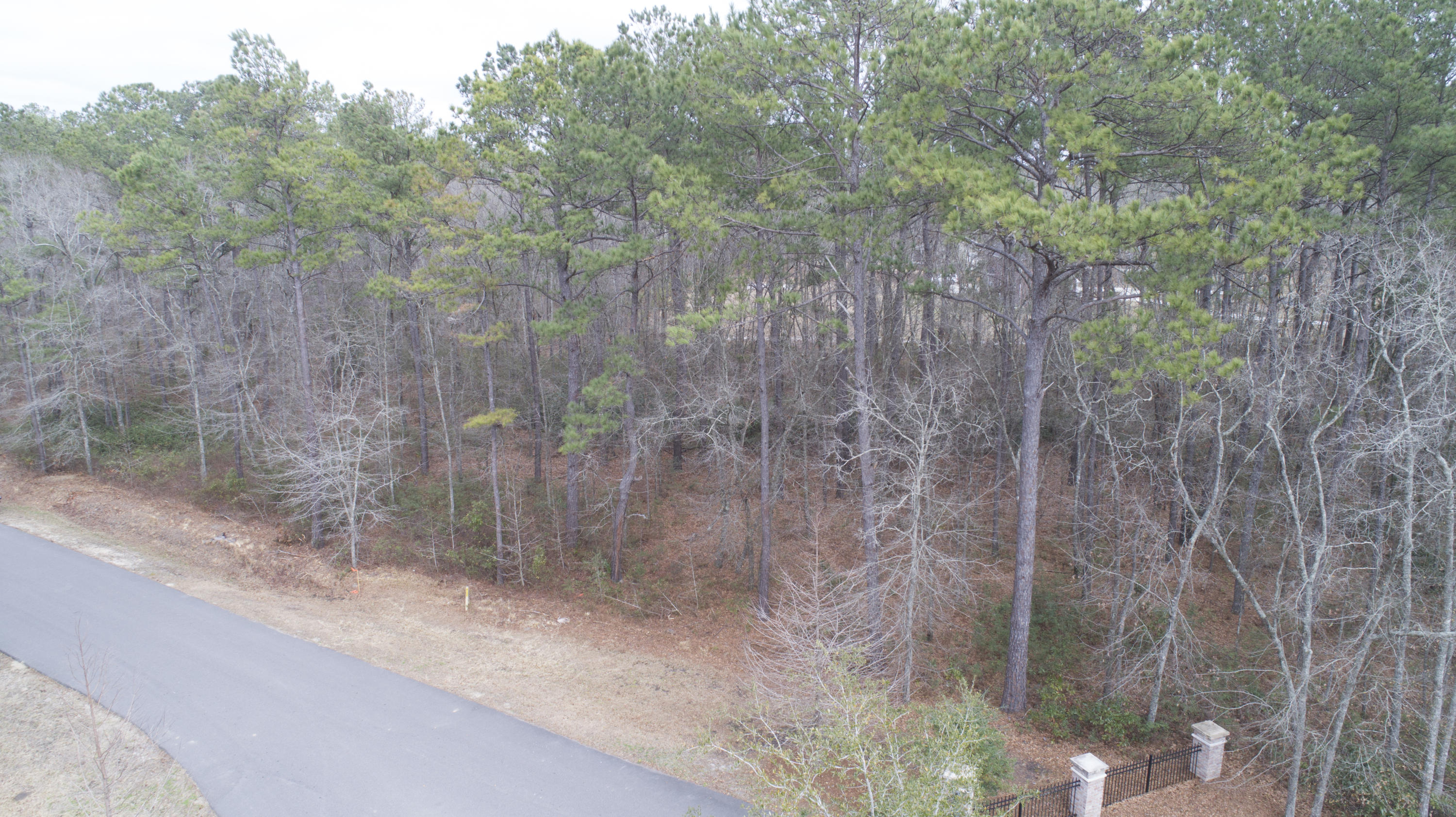 0 Old Jacksonboro Road Ravenel, SC 29470 - Photo 18 of 56 PepperGrassTrail_NoEdit_005
