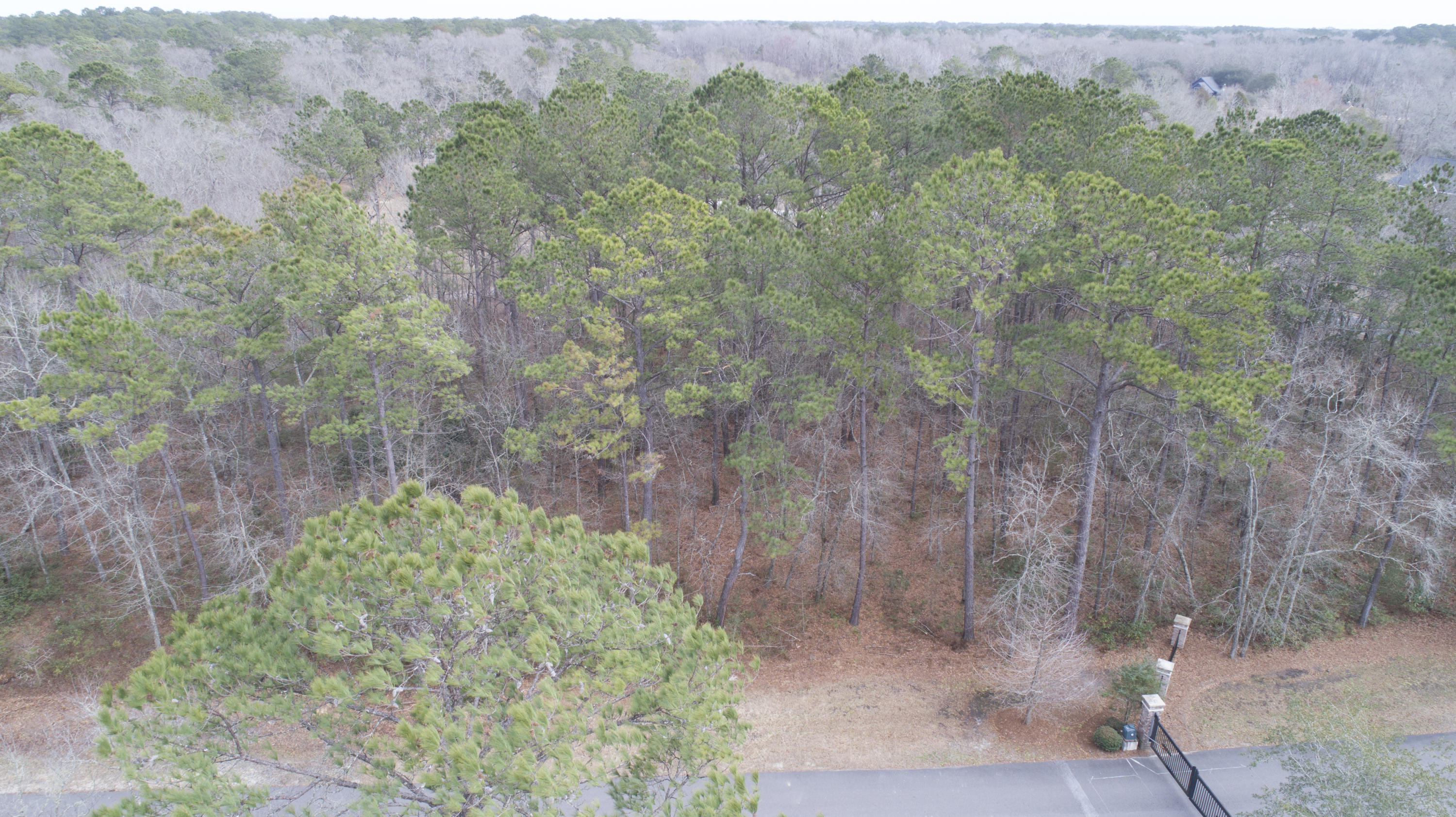 0 Old Jacksonboro Road Ravenel, SC 29470 - Photo 19 of 56 PepperGrassTrail_NoEdit_006