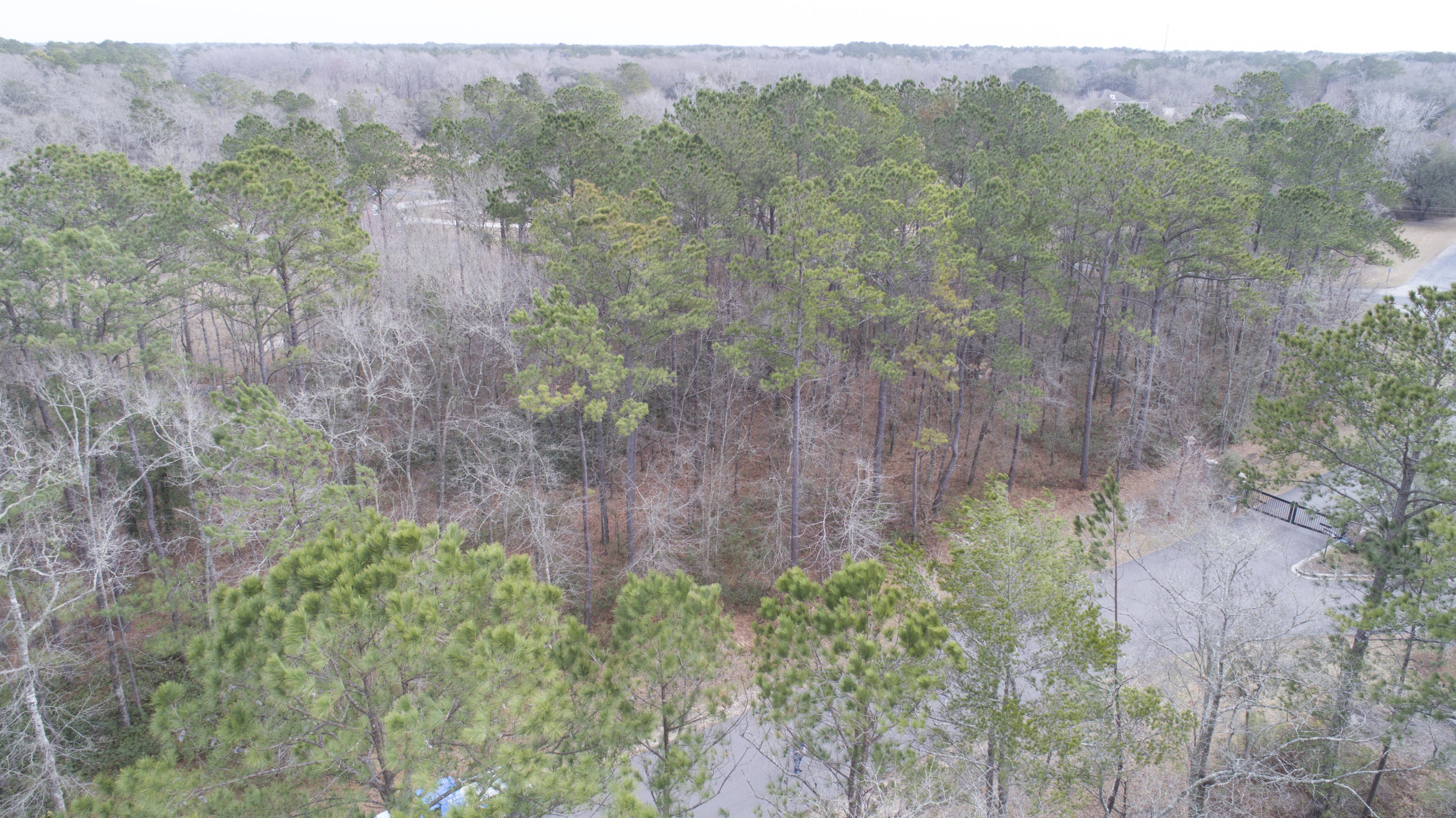 0 Old Jacksonboro Road Ravenel, SC 29470 - Photo 20 of 56 PepperGrassTrail_NoEdit_007