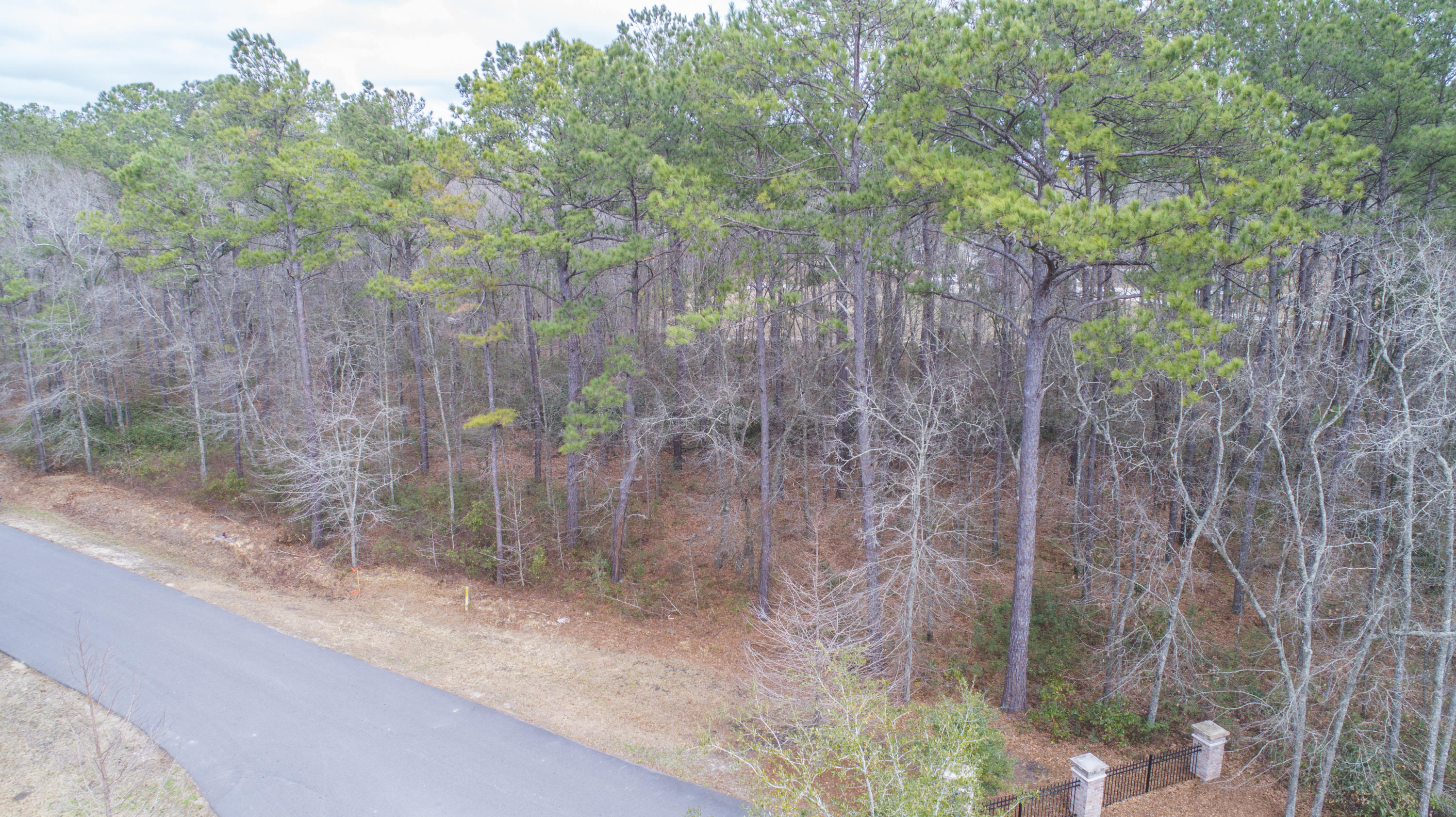 0 Old Jacksonboro Road Ravenel, SC 29470 - Photo 3 of 56 PepperGrassTrail_Edited_002