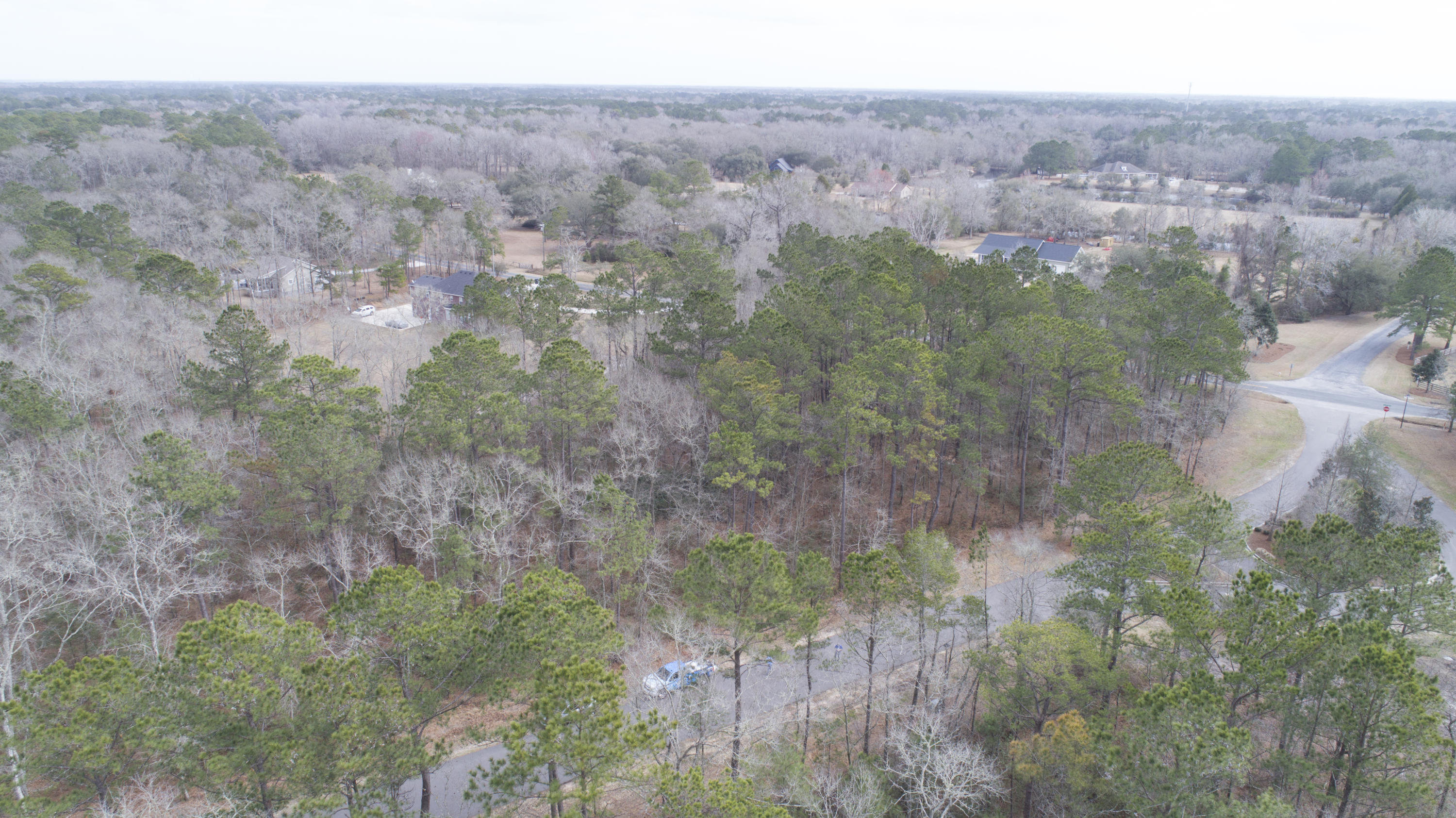 0 Old Jacksonboro Road Ravenel, SC 29470 - Photo 21 of 56 PepperGrassTrail_NoEdit_008