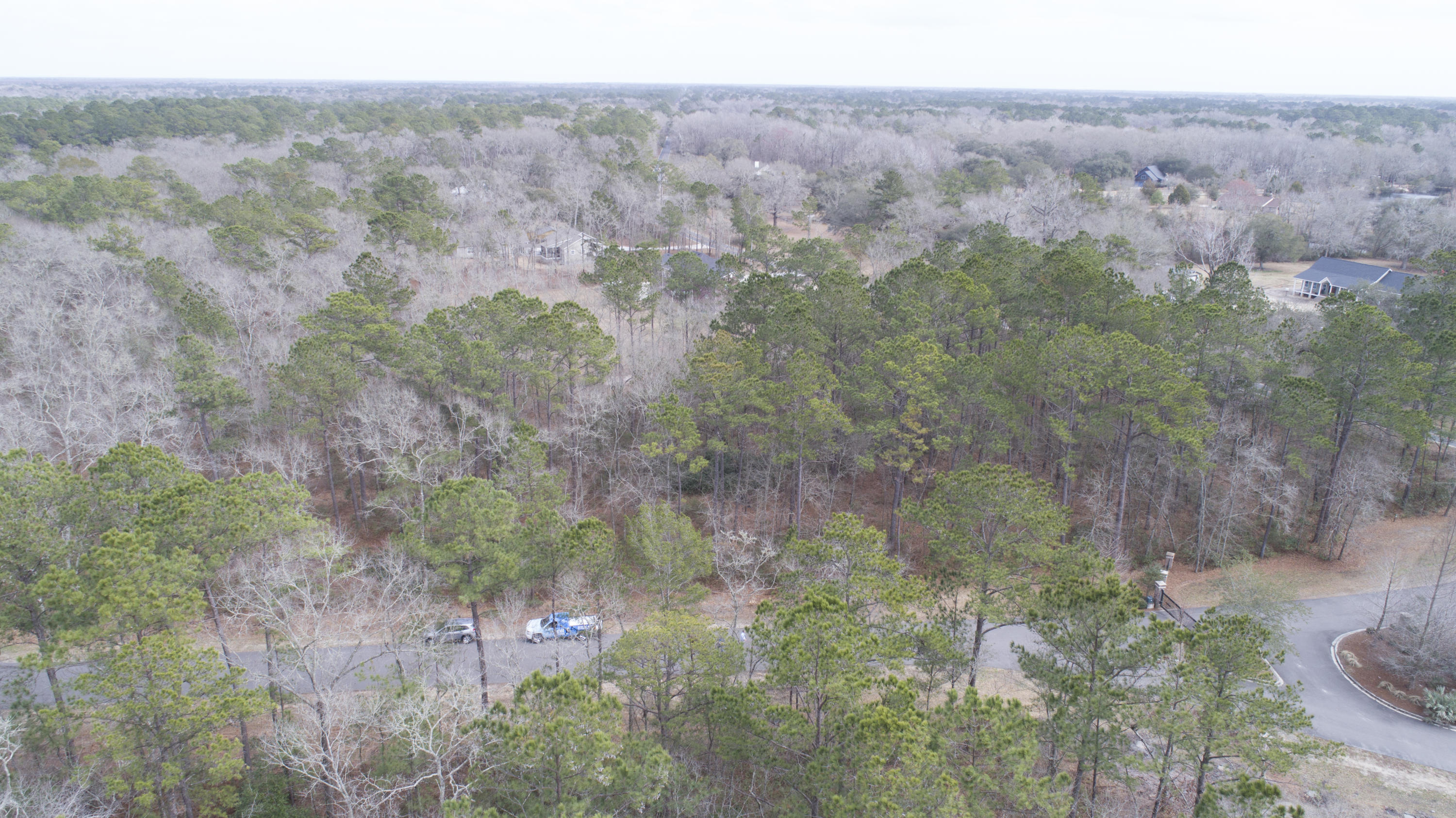 0 Old Jacksonboro Road Ravenel, SC 29470 - Photo 22 of 56 PepperGrassTrail_NoEdit_009