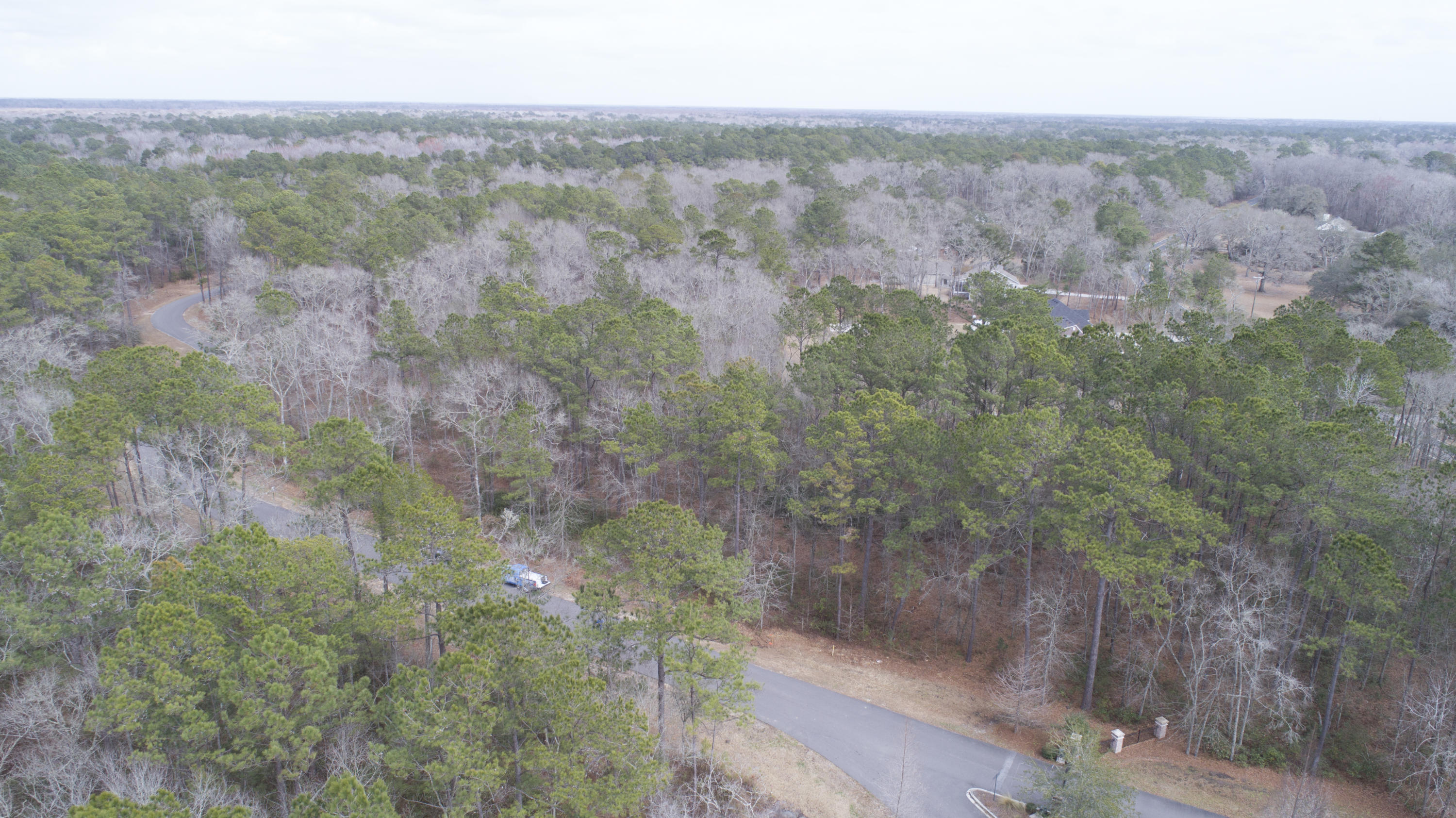 0 Old Jacksonboro Road Ravenel, SC 29470 - Photo 23 of 56 PepperGrassTrail_NoEdit_010