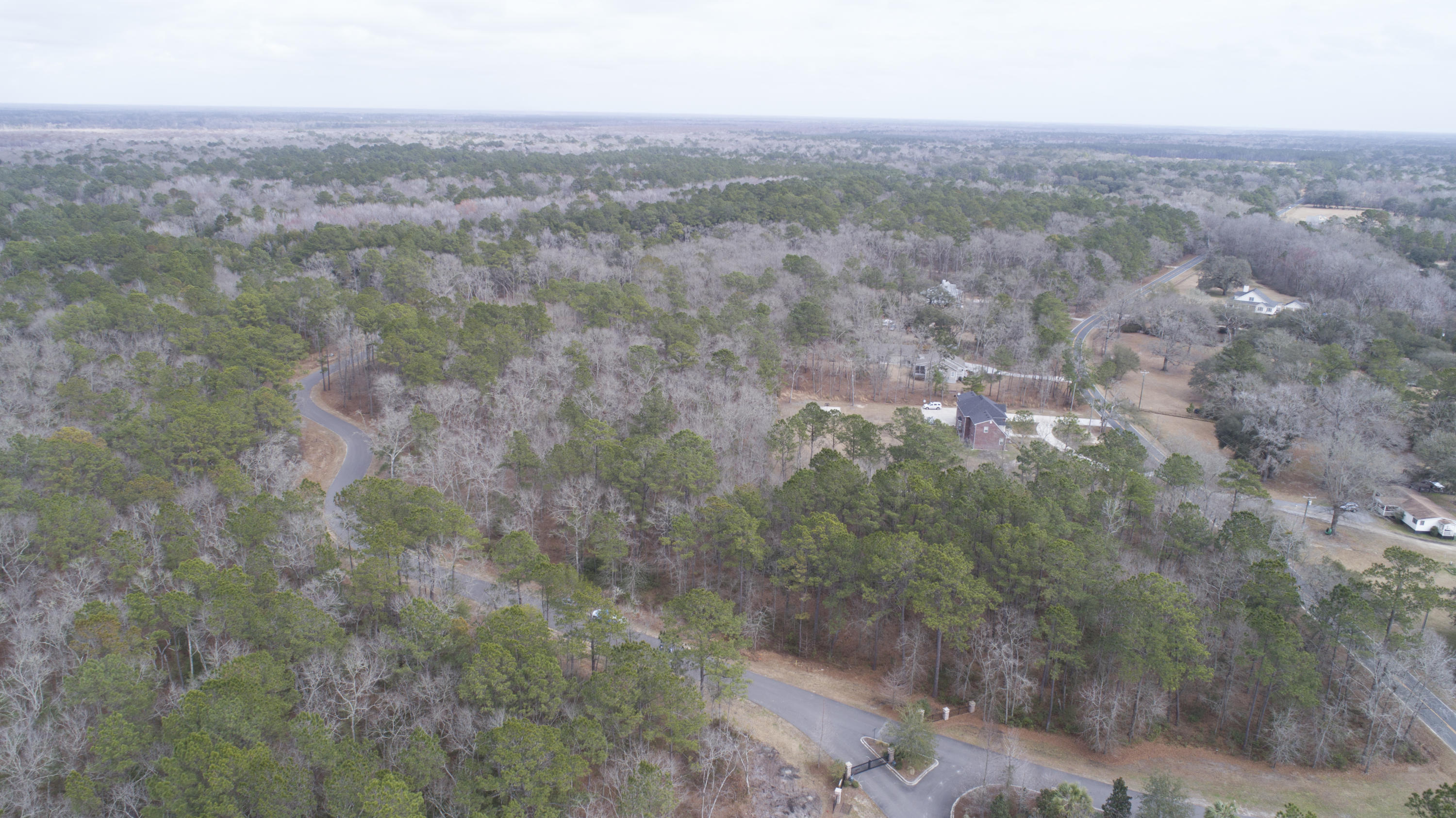 0 Old Jacksonboro Road Ravenel, SC 29470 - Photo 24 of 56 PepperGrassTrail_NoEdit_011