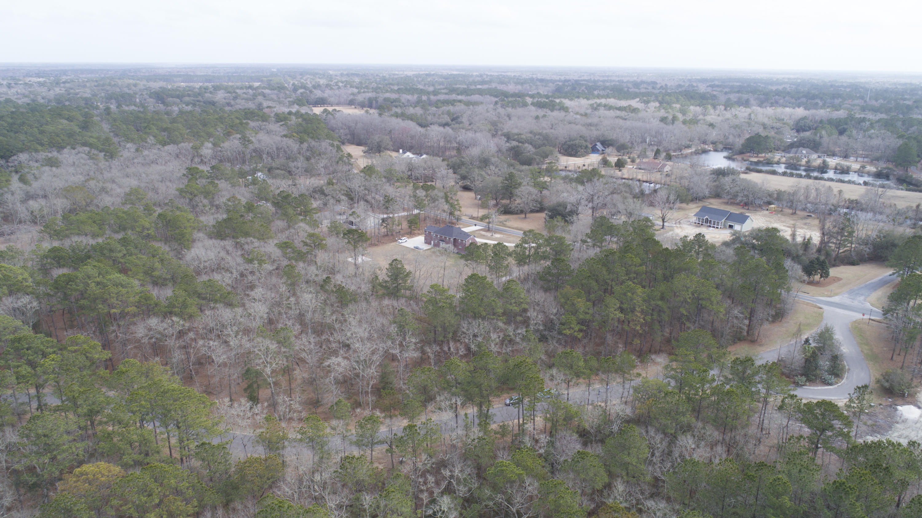 0 Old Jacksonboro Road Ravenel, SC 29470 - Photo 26 of 56 PepperGrassTrail_NoEdit_013