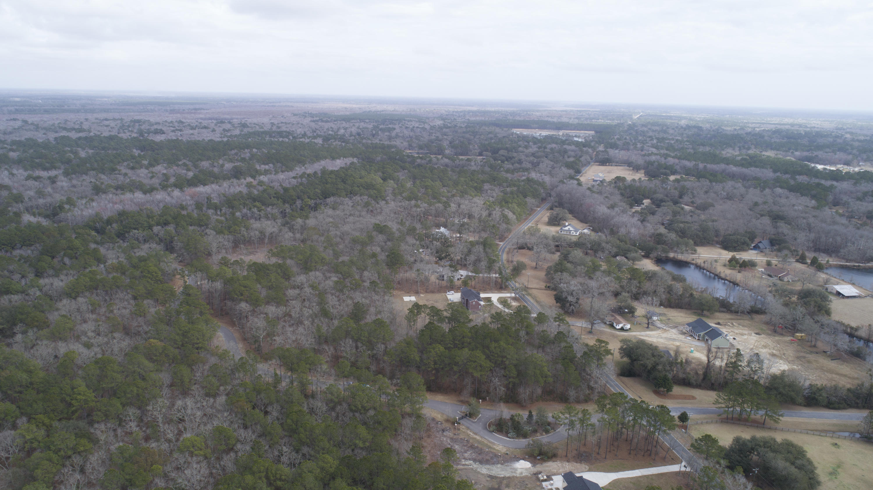 0 Old Jacksonboro Road Ravenel, SC 29470 - Photo 30 of 56 PepperGrassTrail_NoEdit_017