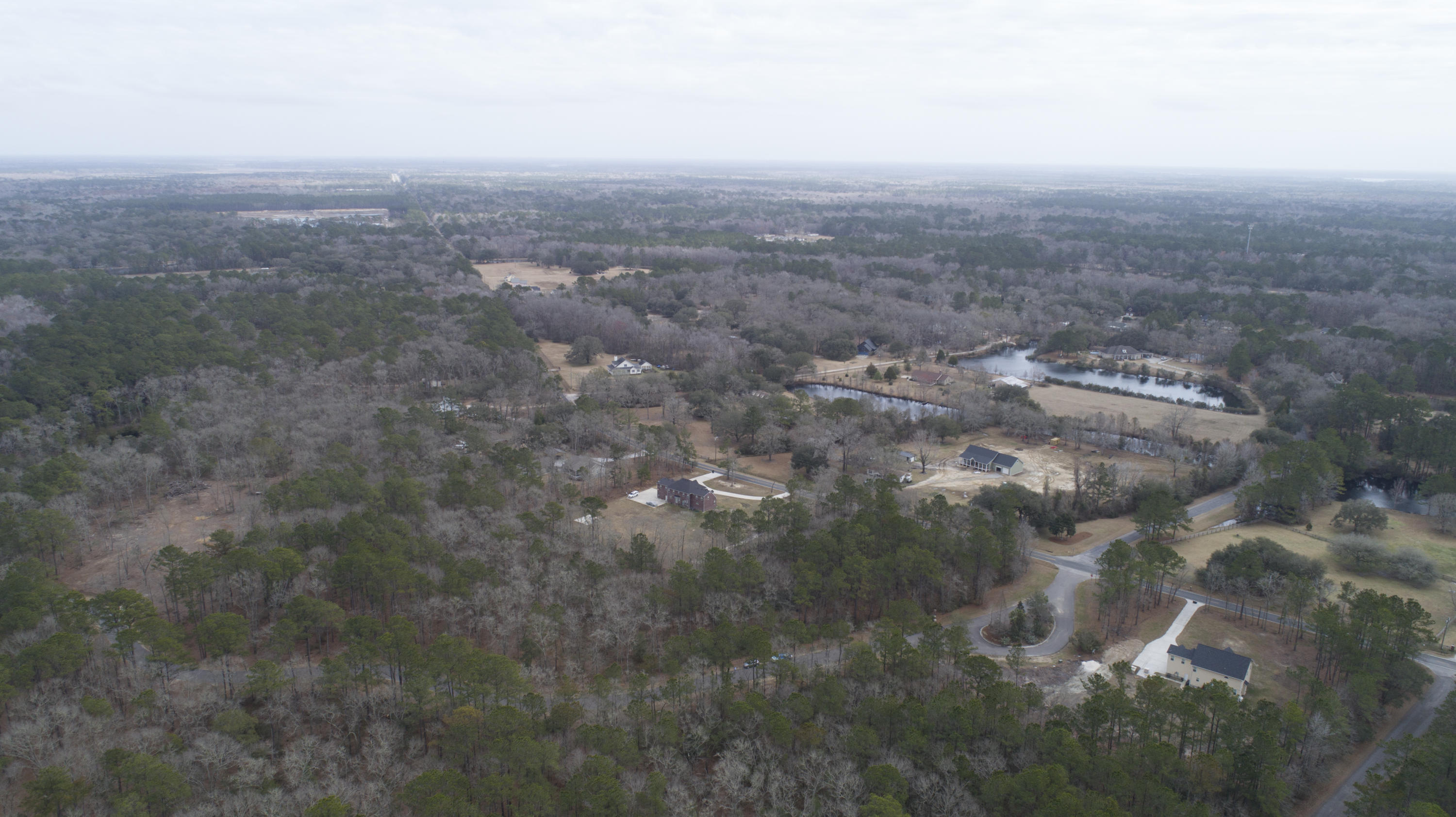 0 Old Jacksonboro Road Ravenel, SC 29470 - Photo 32 of 56 PepperGrassTrail_NoEdit_019
